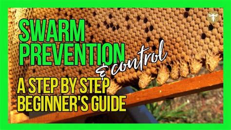 How to Prevent Swarming of Bees | Swarm Prevention & Control: Learn Step by Step with Bruce ...