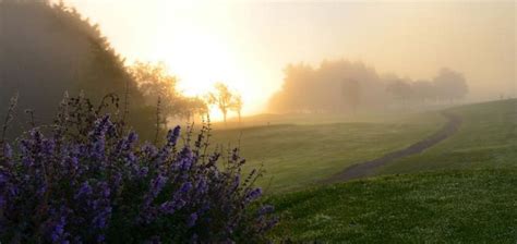 Waterford Castle, Waterford Review | The Hotel Guru