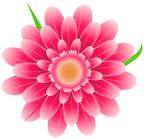 Transparent Pink Flower Clipart PNG Image | Flower images free, Flower clipart, Flower clipart png
