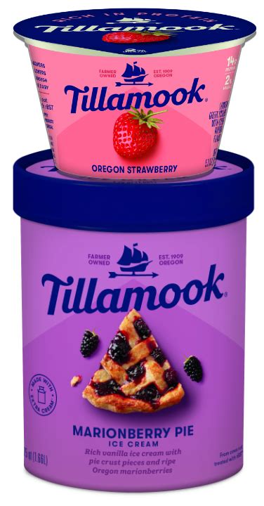 How 110-year-old Tillamook keeps its dairy portfolio fresh | 2019-02-08 | Food Business News