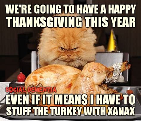 Thanksgiving Message from the Cat - The Sketchy Scribe