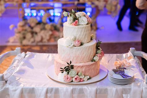 1,764 Big Wedding Cake Stock Photos - Free & Royalty-Free Stock Photos from Dreamstime