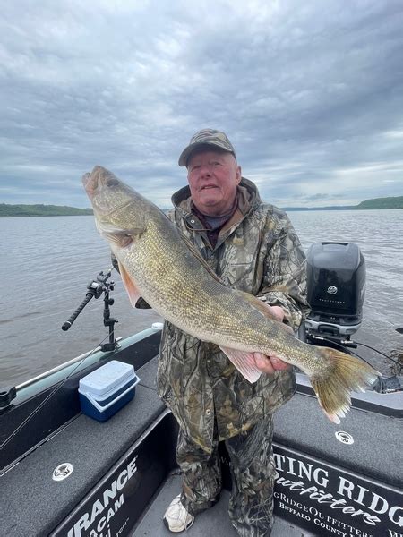 Lake Pepin Walleye Fishing Report by Rutting Ridge Outfitters