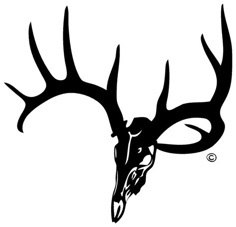 buck deer skull clip art 20 free Cliparts | Download images on ...