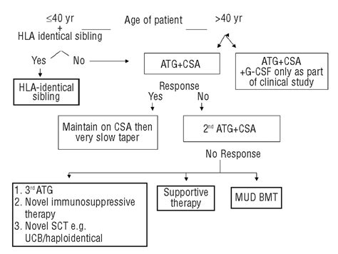 Treatment of acquired aplastic anemia | Haematologica