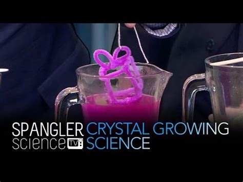 Crystal Growing Science - Cool Science Experiment - YouTube