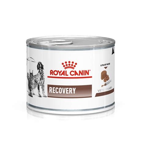 Royal Canin™ - Canned recovery food for dogs and cats / Direct-Vet