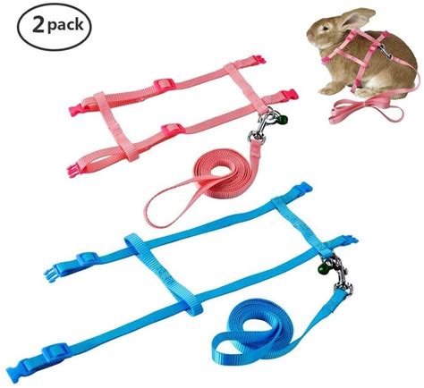 7 of the Best Rabbit Harness and Leash