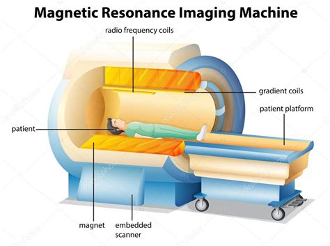 MRI machine — Stock Vector © blueringmedia #29356991