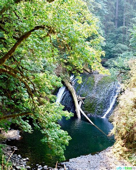 Hiking in Oregon: Silver Falls State Park - Hiking in Oregon - Urban ...