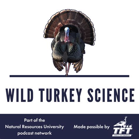 #WildTurkeyHistory | #82 | Natural Resources University