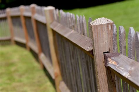 How to Stain a Wooden Fence | Pacific Fence & Wire Co.