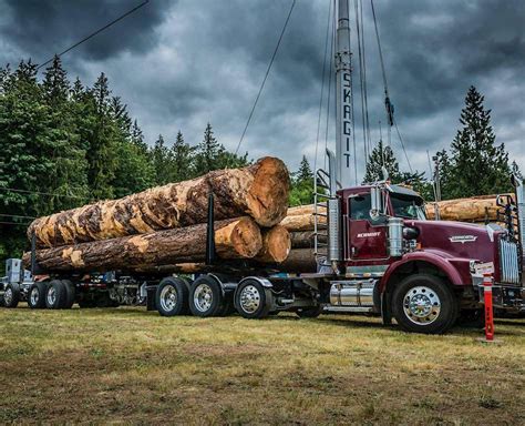 2004 Kenworth T800 Logging Truck For Sale, 759,000 Miles | Lake Stevens, WA | 9021177 ...