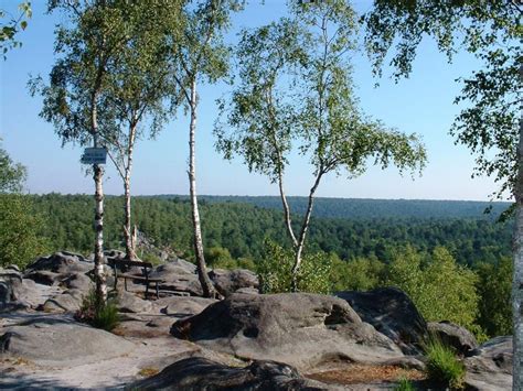 Photos - Fontainebleau forest - Tourism & Holiday Guide