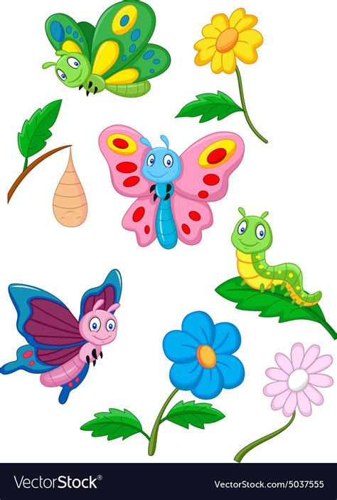 Cartoon butterfly caterpillar and cocoon Vector Image