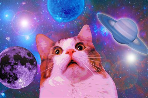 Galaxy Cat Desktop Wallpapers - Top Free Galaxy Cat Desktop Backgrounds - WallpaperAccess