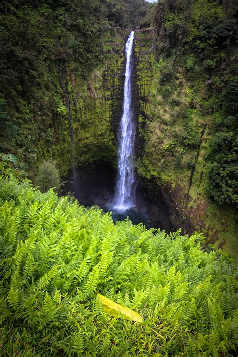 Akaka Falls | Akaka Falls, on the Big Island of Hawaii. East… | Flickr