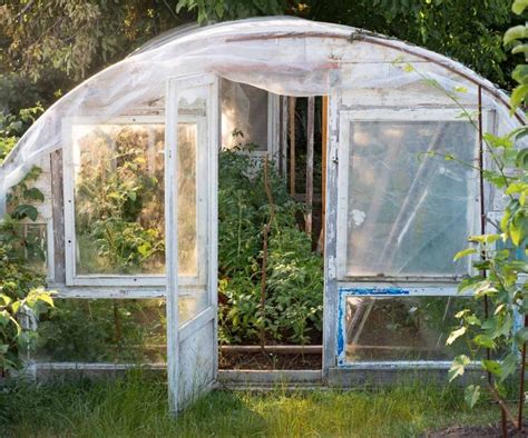 Best Greenhouse Plastic | Homemade Food Junkie