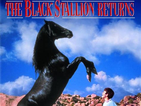 The Black Stallion Returns (1983) - Robert Dalva | Synopsis, Characteristics, Moods, Themes and ...