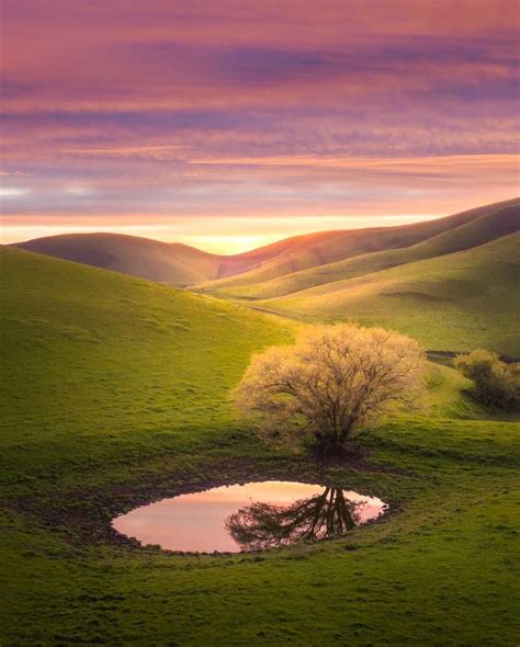 Green Hills of California, USA. [OC][1220x1440] : r/EarthPorn