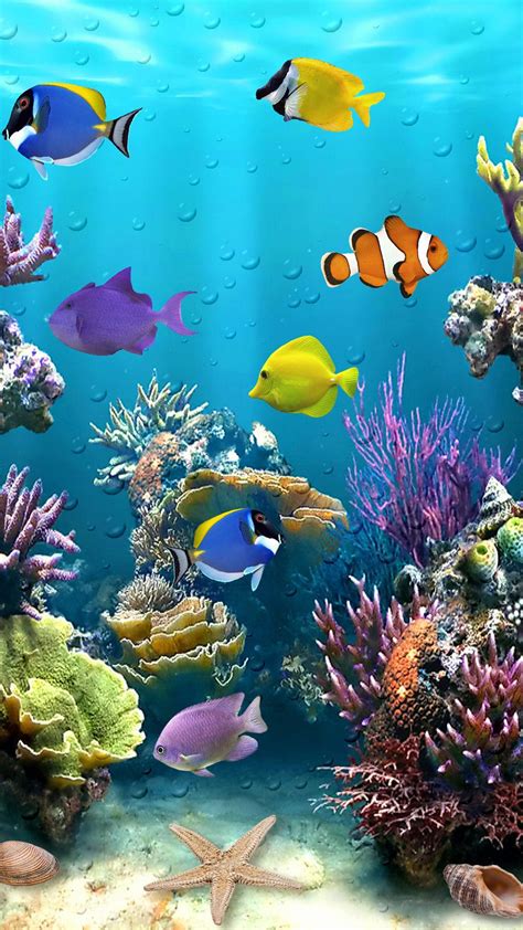Fish Tank Background Paper | Papel de parede de animais, Pintura subaquática, Papel de parede de ...