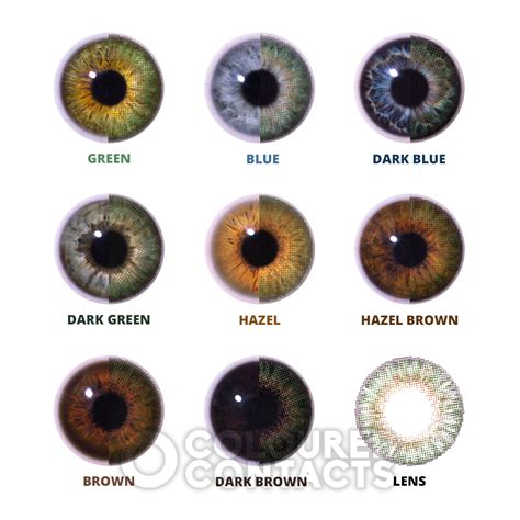 Decorative Contacts Lenses | Shelly Lighting