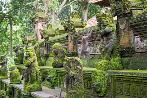 Ubud Monkey Forest: The Sacred Monkey Forest Sanctuary in Bali