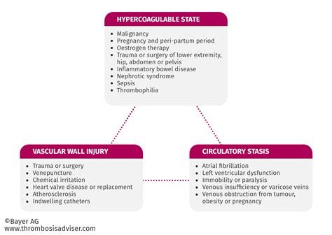 Thrombus Formation | Thrombosis Adviser