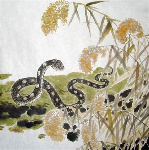 Chinese Snake Painting 0 4449034, 50cm x 50cm(19〃 x 19〃)