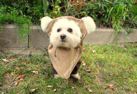 Easy Ewok Dog Costume Patterns - Free to Download - Mimi&Tara