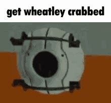 Wheatley Crab Crab GIF – Wheatley Crab Crab Meme – discover and share GIFs