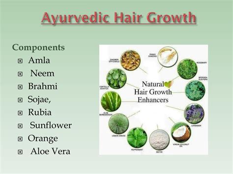 PPT - Ayurvedic Medicine for hair regrowth Products PowerPoint ...