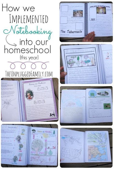 132 Best Notebooking images | Homeschool, Teaching, Interactive notebooks