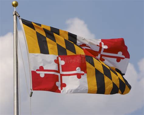 Maryland Flag stock image. Image of maryland, clouds, academy - 686361