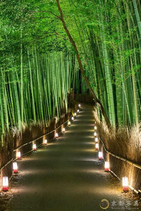BAMBOO ROAD IN ARASHIYAMA PARK, KYOTO, JAPAN BY ARTIST UNKNOWN. Like a path in a dream world ...