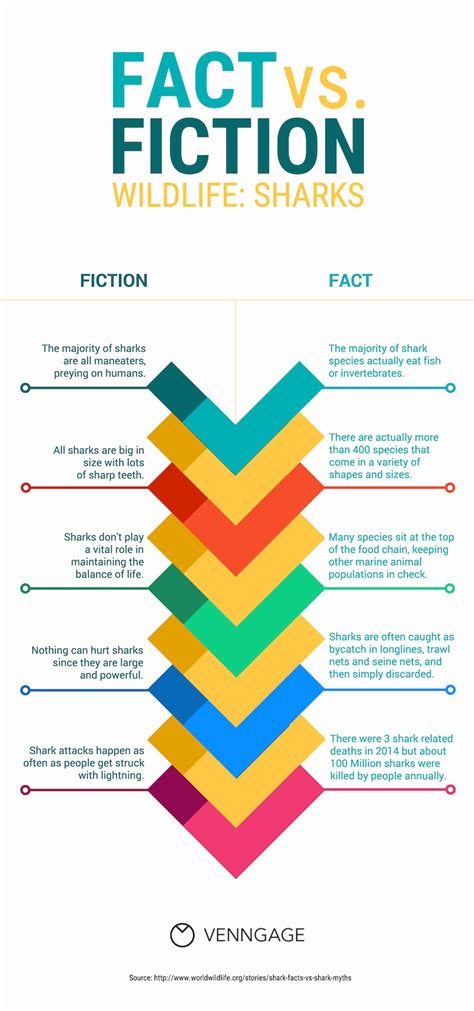 30+ Product Comparison Infographic Templates + Design Tips