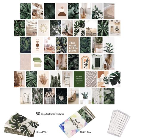 Plants Bedroom Dorm Decor Photo Collection Aesthetic Wall Collage Kit Aesthetic Room Decor ...