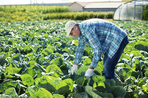 5 types of sustainable farming you can do