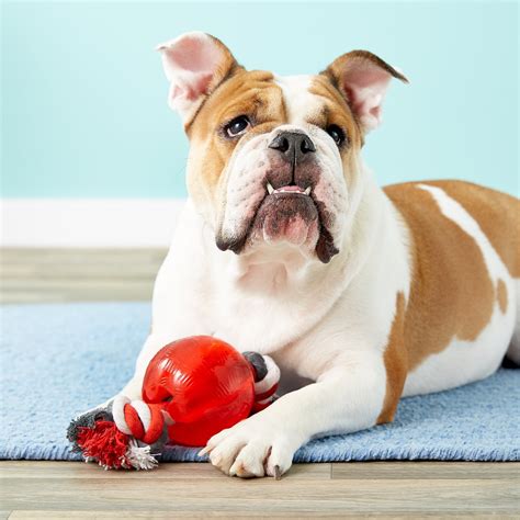 ETHICAL PET Play Strong Ball & Rope Tough Dog Chew Toy, 3.75-in - Chewy.com