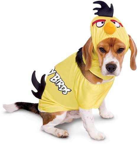 Angry Birds Yellow Bird Pet Costume | Dog costumes funny, Pet halloween ...