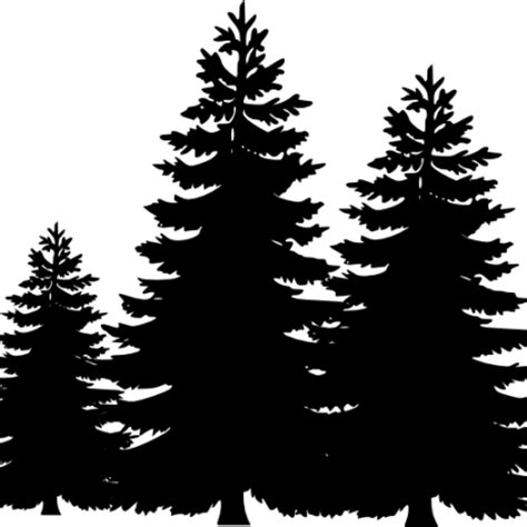 Download Pine Tree Clip Art Silhouette Cliparts Accent Wall - Pine Trees Silhouette Png ...