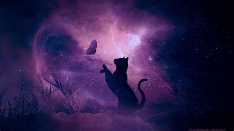Magical Black Cat Wallpapers - 4k, HD Magical Black Cat Backgrounds on WallpaperBat