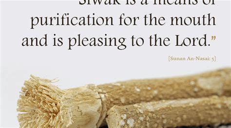 Benefits of Miswak (Siwak) — Science & Faith