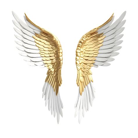 Angel wings isolated on transparent background. 24806794 PNG