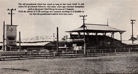 Cessnock in 1973 – History of Greyhound Racing in Australia