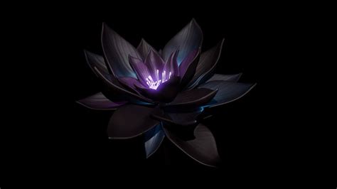 Black Lotus: Magic the Gathering fanart | The Rookies | Lotus art, Lotus artwork, Lotus flower art