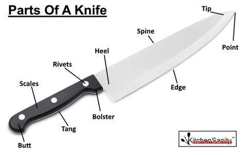 Parts Of A Knife Diagram