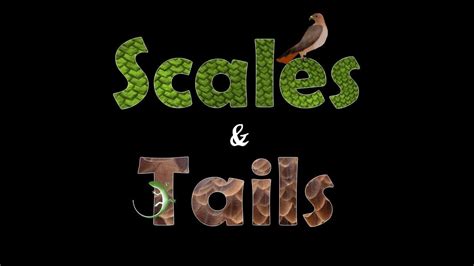 Scales & Tails | Alapark