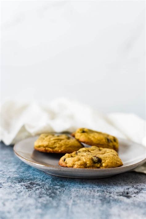 Sourdough Chocolate Chip Cookies - The Gingered Whisk