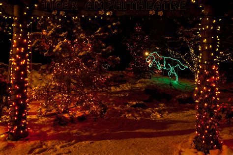 zoo lights | Christopher Martin Photography